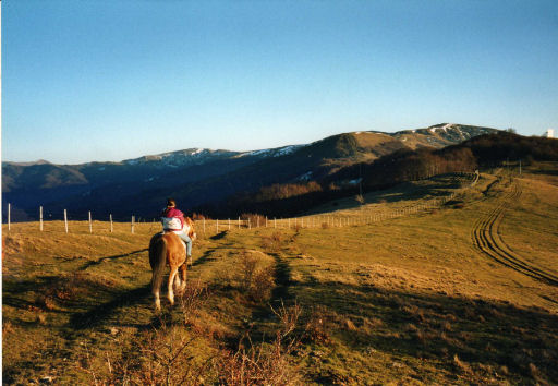 fattoria aurora fattoria aurora